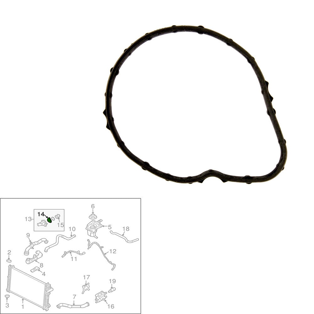 Fits For Transit Connect EcoSport Fusion MKZ Engine Water Pump Gasket 3M4Z8255A