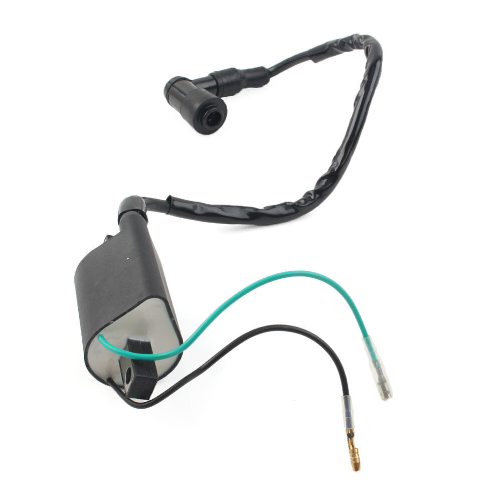 Ignition Wires, Caps &amp; Boots