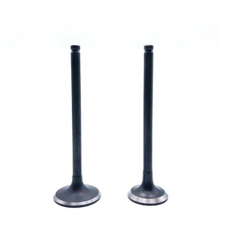 Intake Valve for Dodge for Ram 03-07