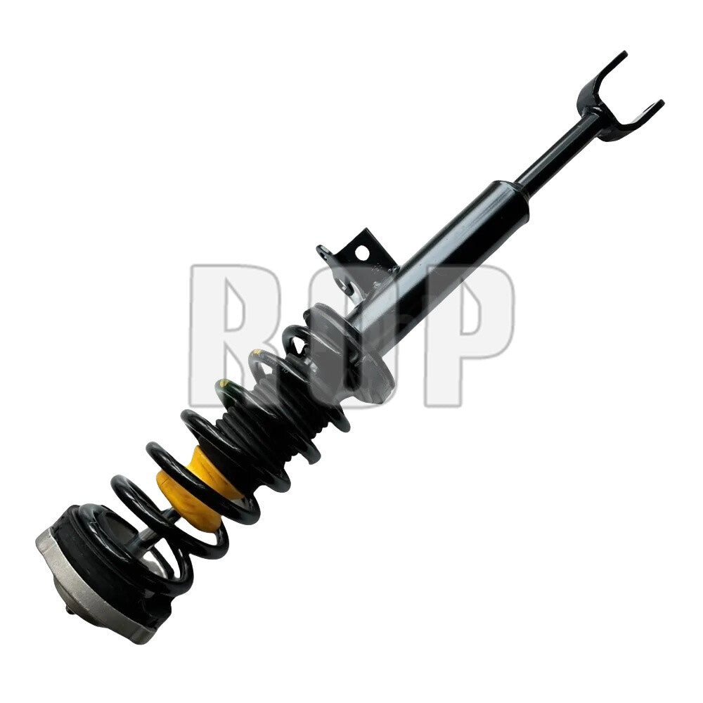 2X Front Shock Struts Assys for BMW F10 F11 F12 F13 F06 528i 535i 550i 640i RWD
