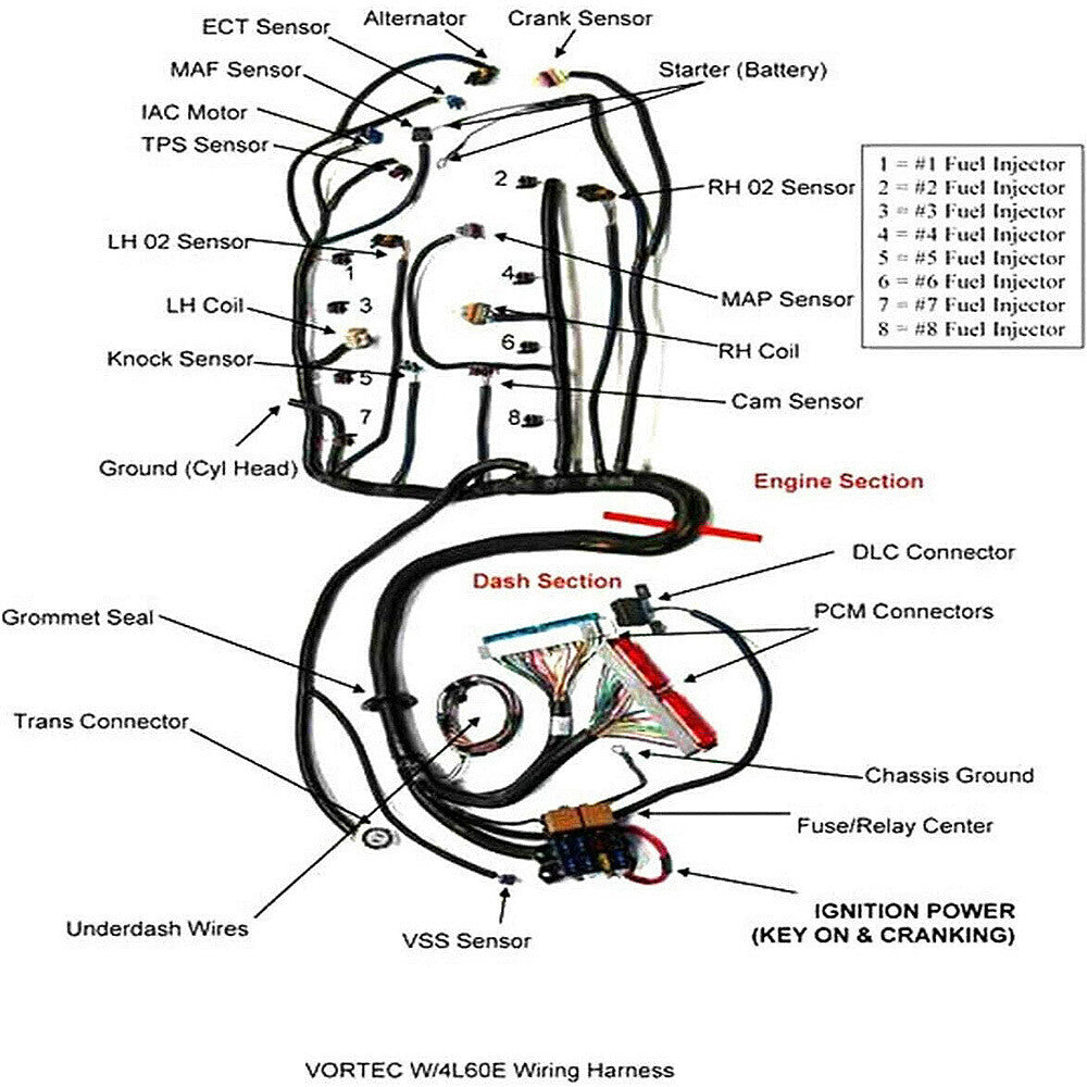 LS Swaps Standalone Wiring Harness W/4L60E 97-06 4.8L 5.3L 6.0L GM LS1 Engine