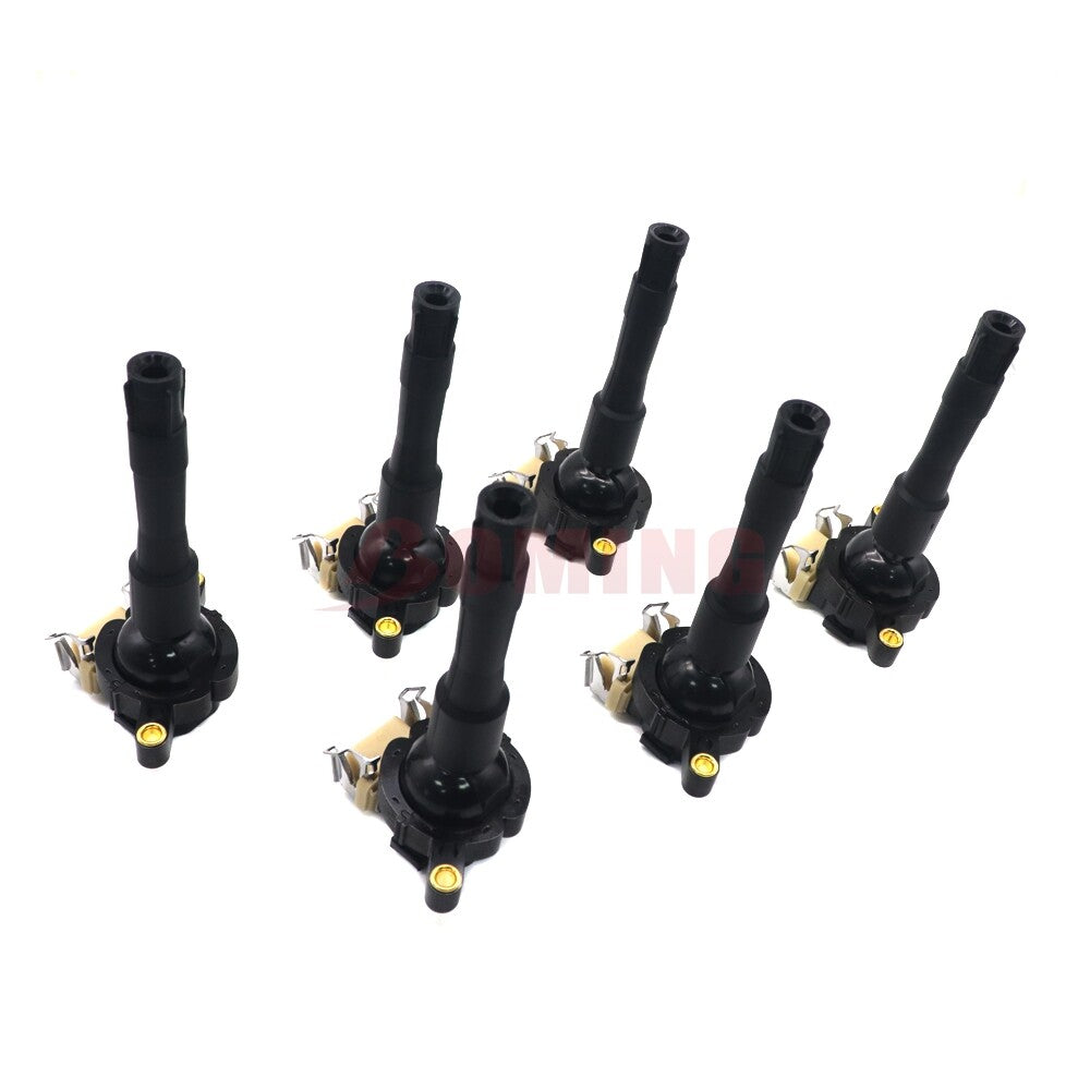 6-pack ignition coils suitable for BMW 325i 2.5L, 740i, X5 4.4L, 528i, 328i 2.8L, 525i, UF300