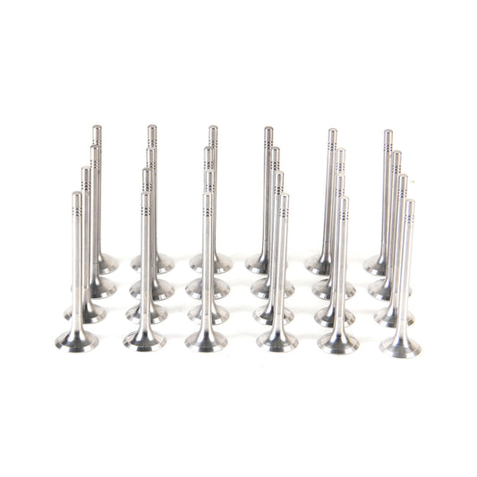 3.0TDI Intake Exhaust Valve Kit Fit for VW Phaeton Touareg CARA CEXA CASA CATA