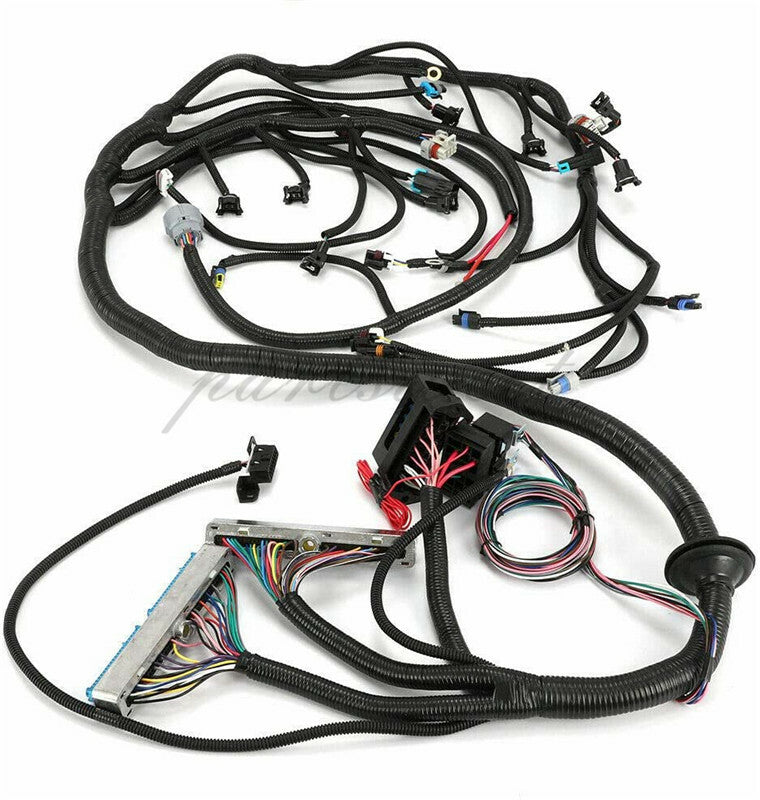 For 97-06 DBC LS1 Engines Standalone Wiring Harness W/ 4L60E 4.8 5.3 6.0 Vortec