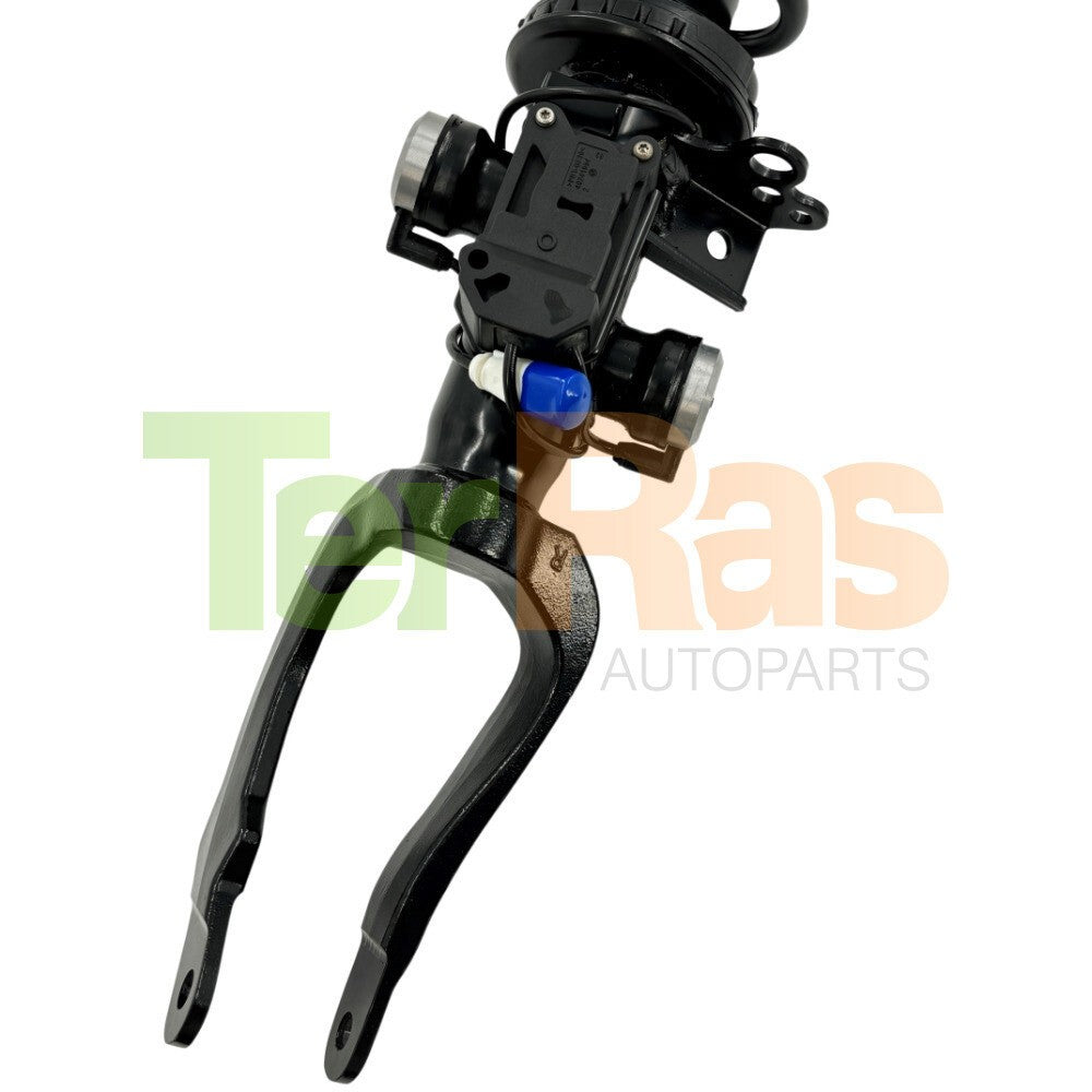 4-piece front and rear shock absorber struts, Assys magnetic, suitable for Ferrari F430 Scuderia 05