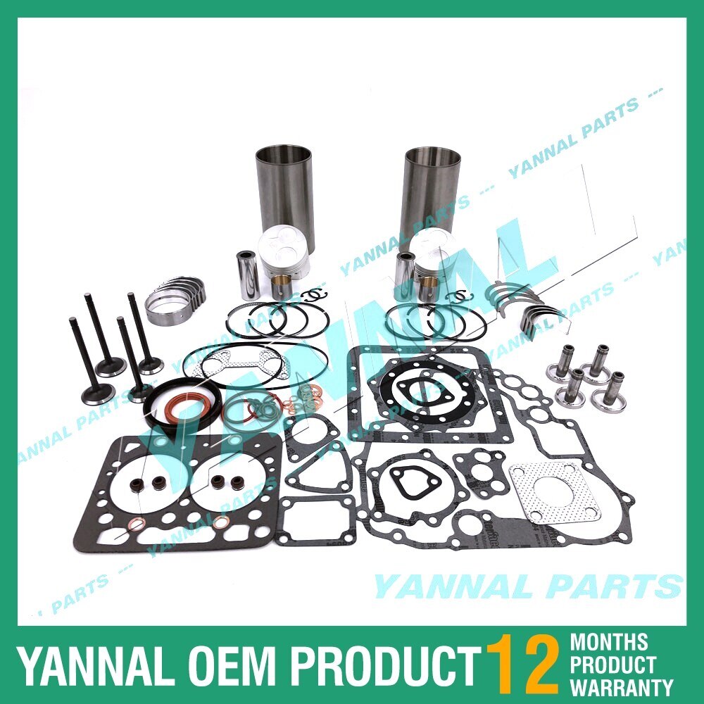 Overhaul and rebuild kit for 2 cylinders of Kubota ZB600 engine, high satisfaction rate.