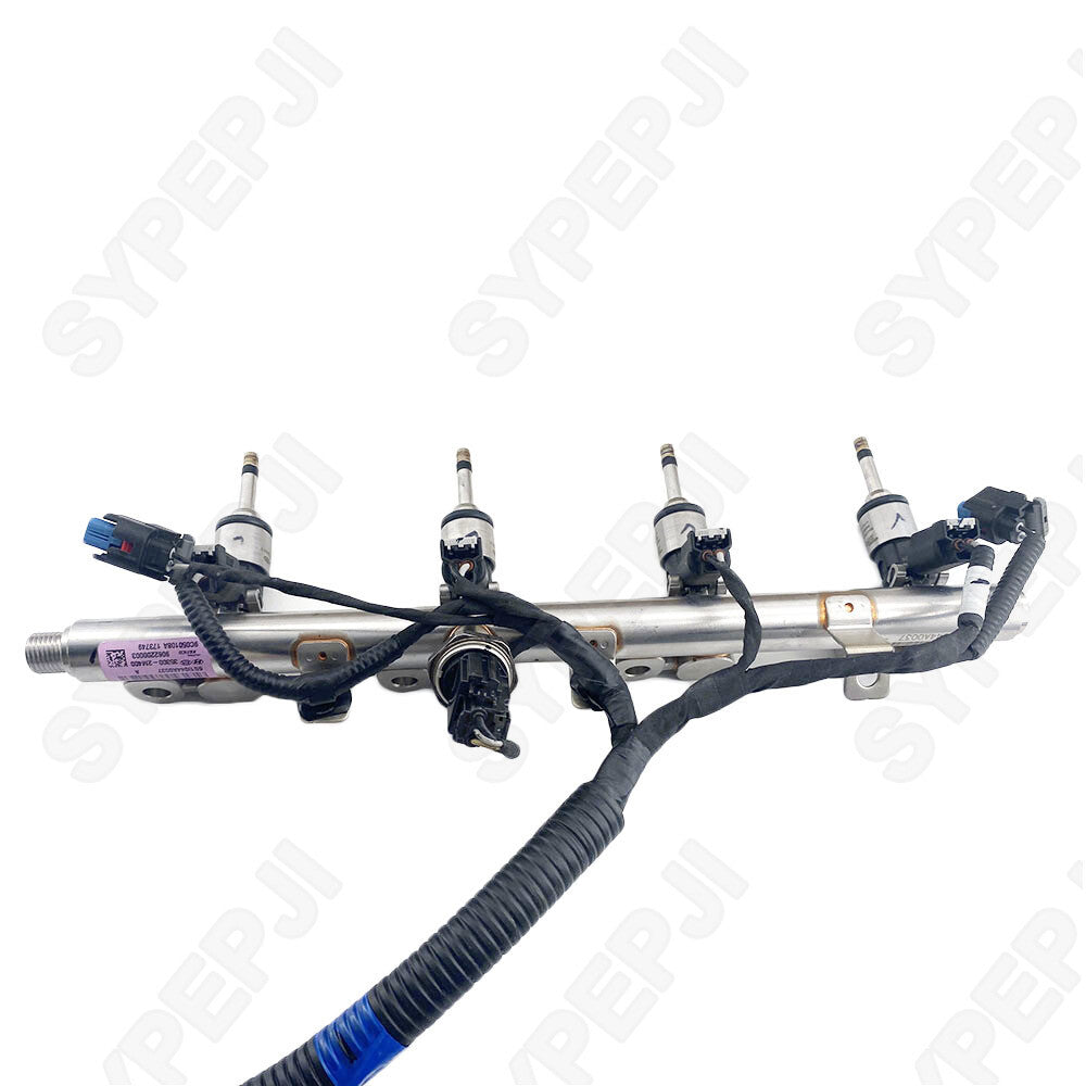 fuel injector systems for Hyundai , Santa Fe, Sonata, for Tucson , for Kia , and Sorrento - Equipment Manufacturer
