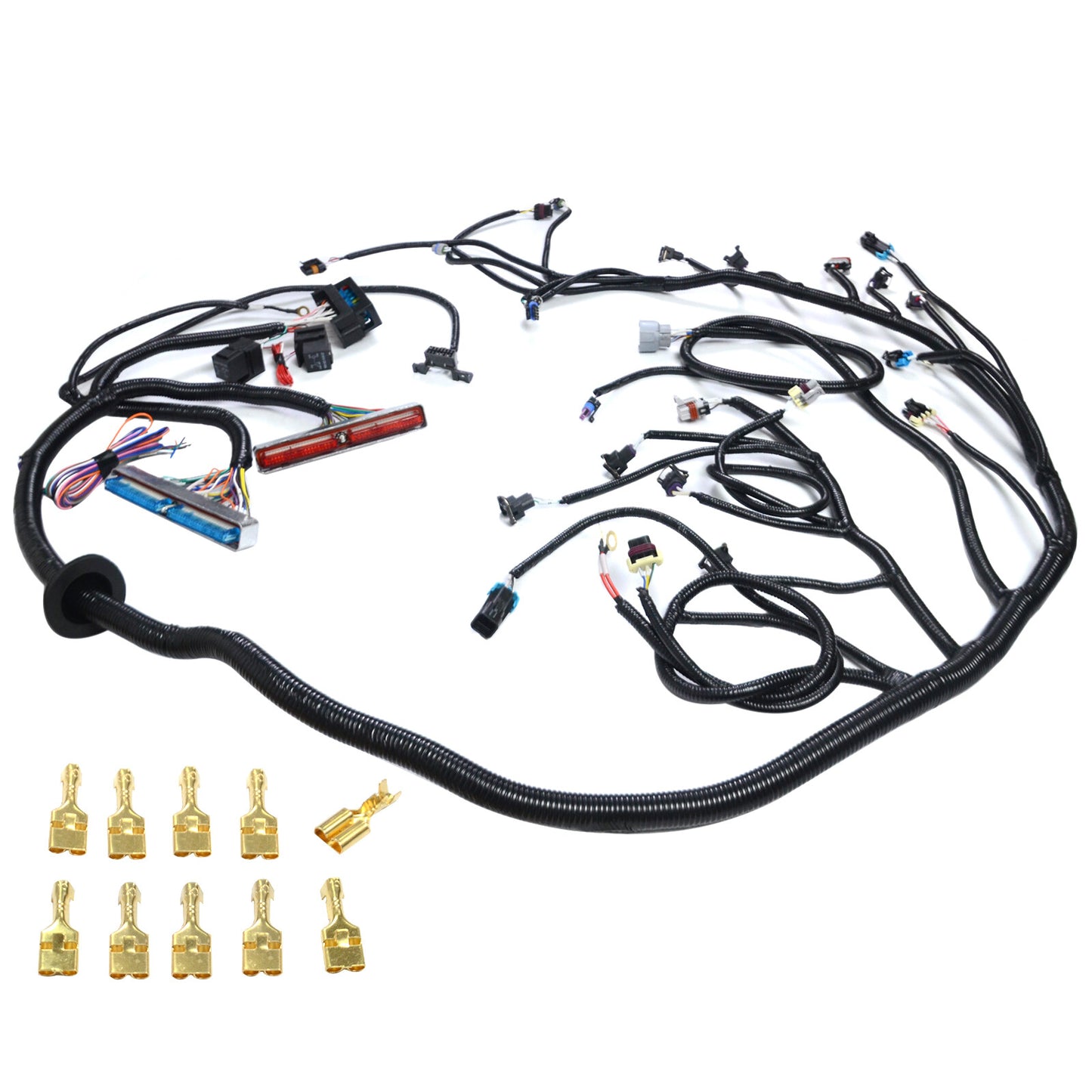 New Standalone Wiring Harness for GM LS LS1 LS6 4.8L 5.3L 6.0L 1999-2003 W/4L60E