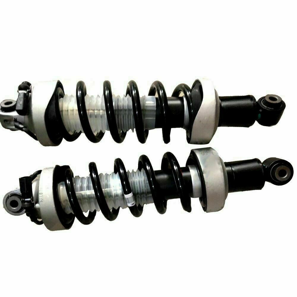 2PCS Rear Shock Spring Struts Assembly w/Magnetic for Audi R8 Spyder 2007-2015