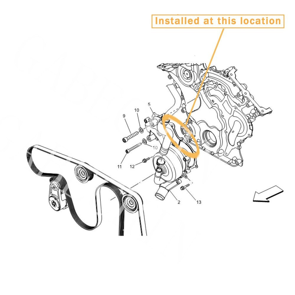Equipment Manufacturer ( ) for Maserati Quattroporte water pump gaskets: 276062