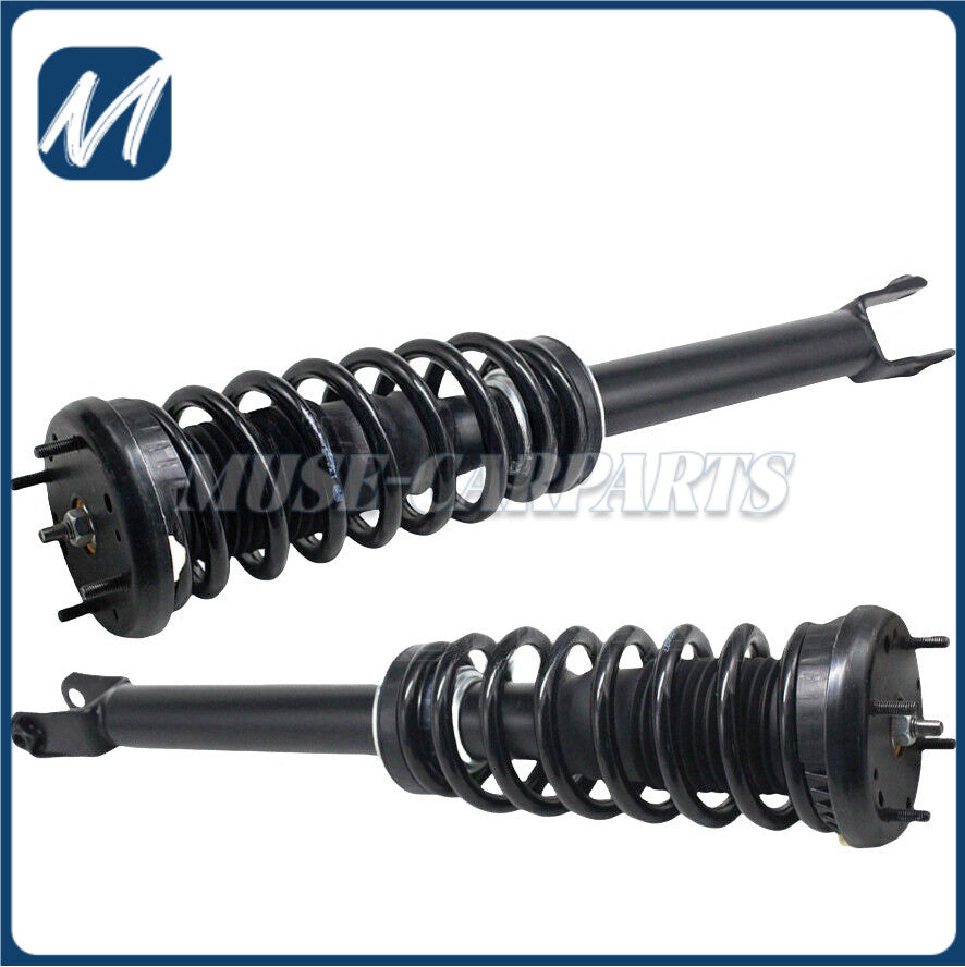 2-piece front hydraulic shock absorber struts by Assys, suitable for Mercedes W166, C292, GLE43, ML63, AMG ML550.