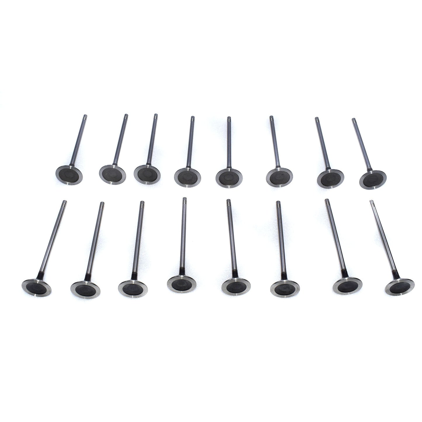 intake valves + 8 exhaust valves for Mini Cooper S R56 N14 1.6L 2007-2010