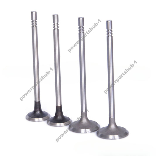 3920867 3920868 Intake and Exhaust Valve for BMW for Benz