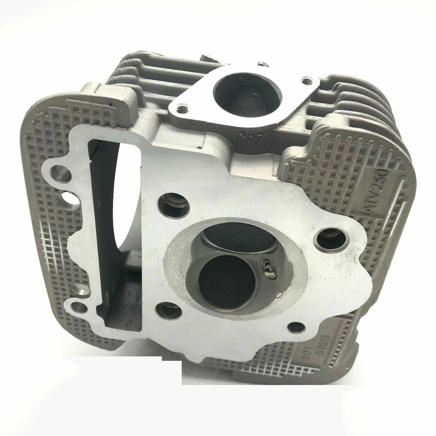 Cylinder for Yamaha Timberwolf 250 JS250 YFB250 Cylinder Head And Valve Assembly
