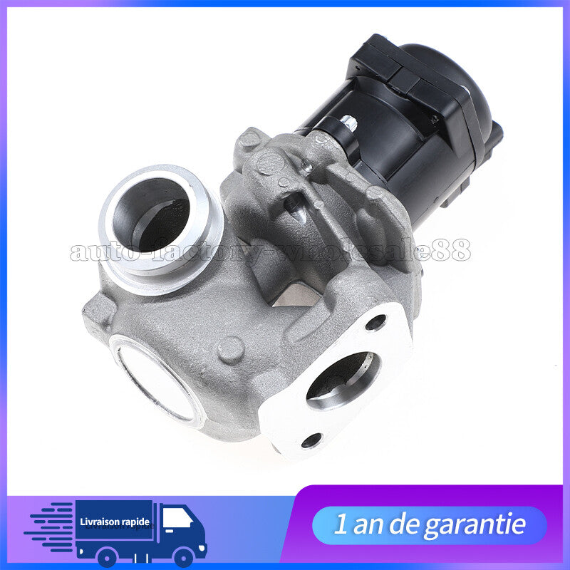 Vanne EGR pour for Peugeot 207 307 308 407 1.6Hdi 90cv 110cv for CITROEN C3 C4 C2 161859