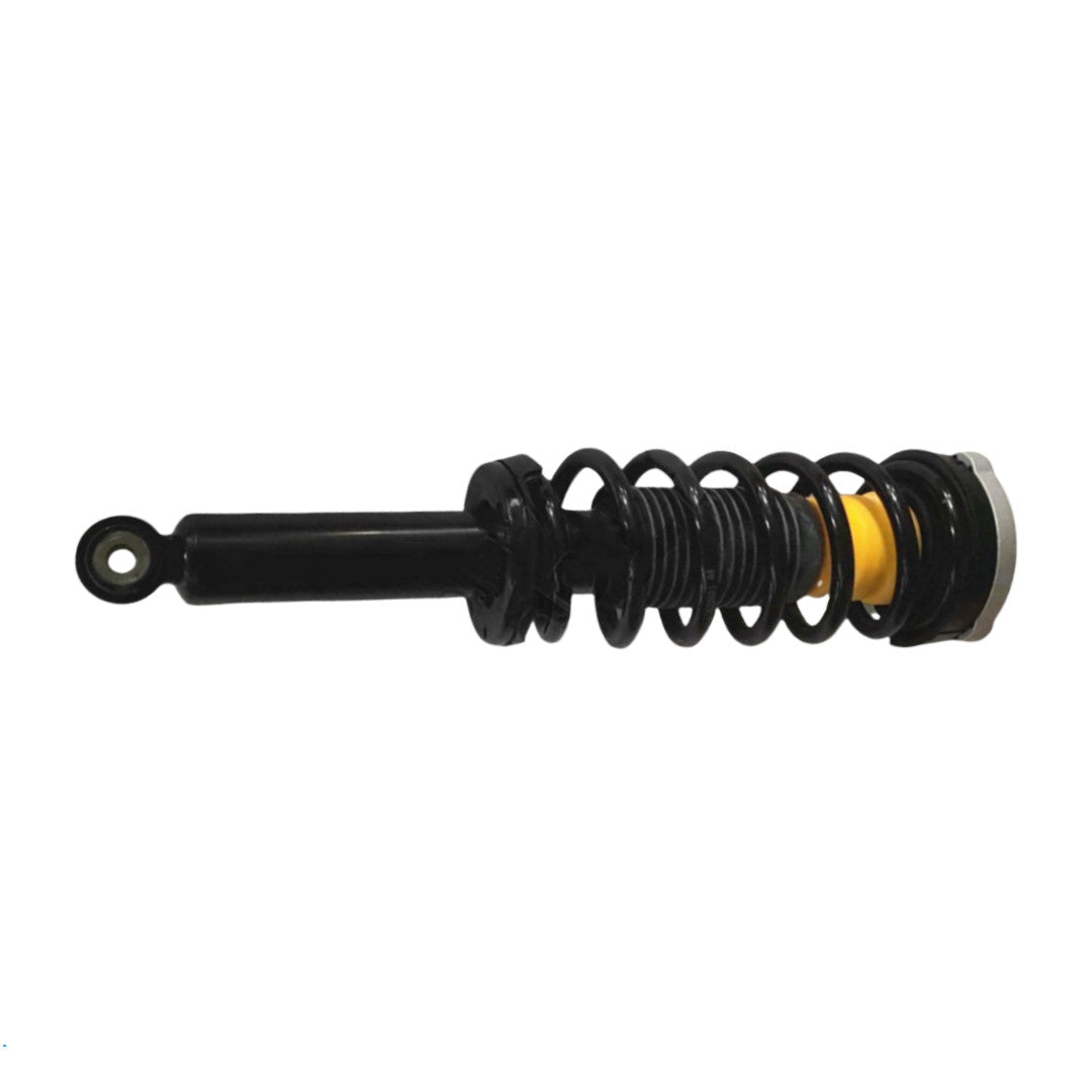 Pair Rear Shock Spring Struts Assembly w/o EDC for BMW X3 F25 X4 F26 2011-2018