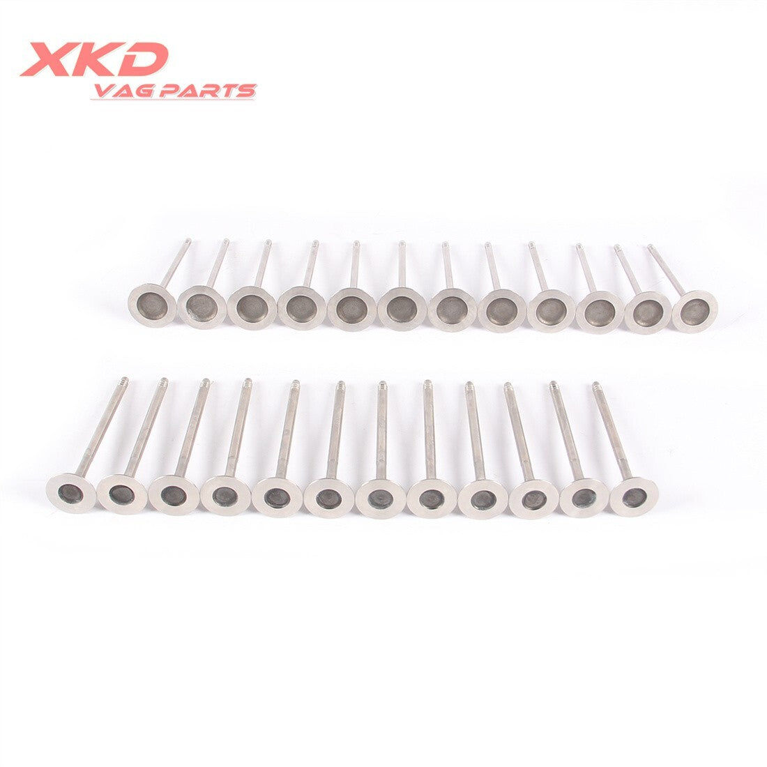 2.5 Intake Exhaust Valve Kit Fit for BMW 325i 525i X3 Z4 E90 E91